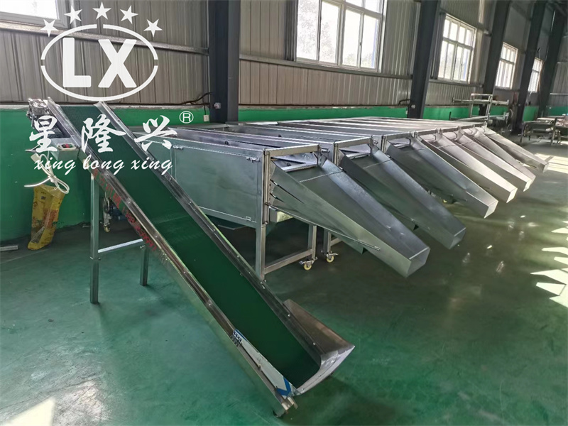 香菇篩選機